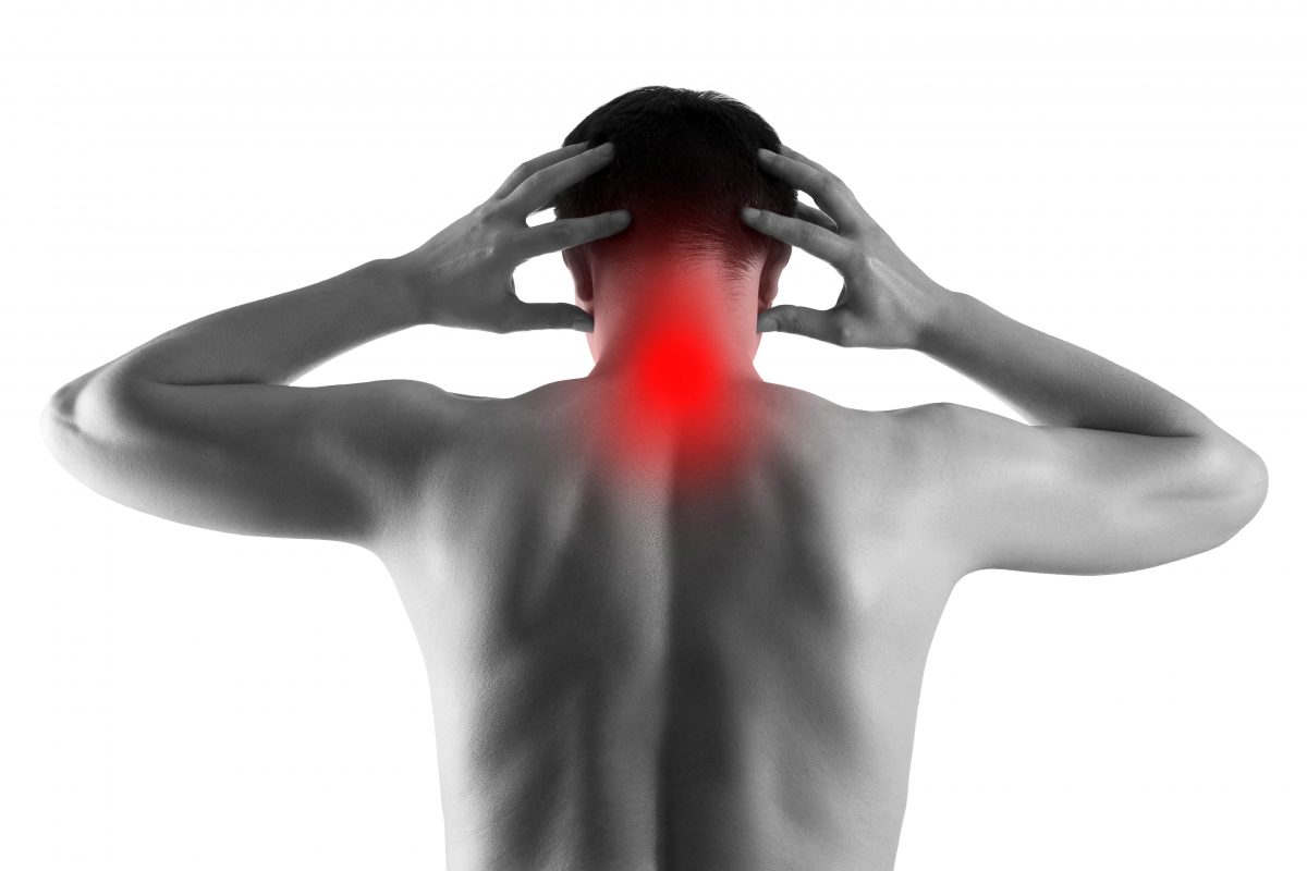 Neck Compass Neck Et Neck : Difference entre micro bridge et micro neck – TZXUM